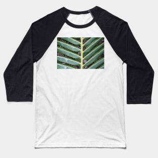 Tropical frond. Baseball T-Shirt